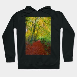 Autumnal Westridge Woods, Cotswolds Hoodie